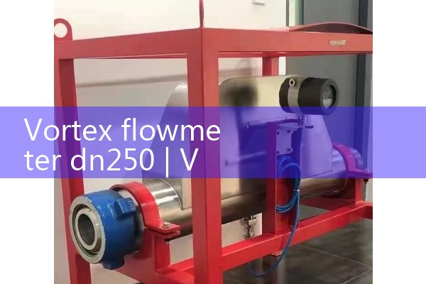 Vortex flowmeter dn250